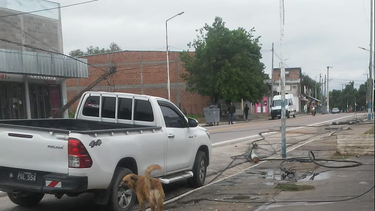 camionero derribo una fila de postes del tendido electrico
