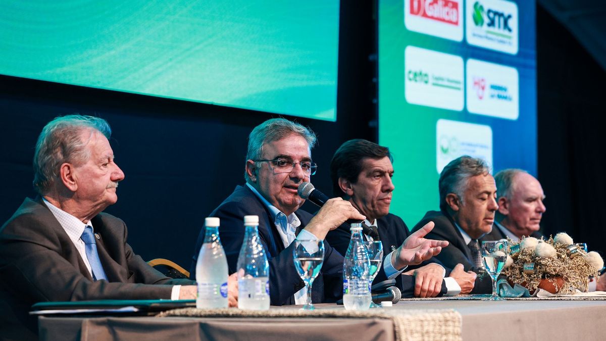 Para reducir costos, litíferas piden más infraestructura