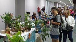 Arrancó la Feria Artesanal Manos Catamarqueñas