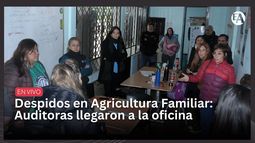 Despidos en Agricultura Familiar: Auditoras llegaron a la oficina