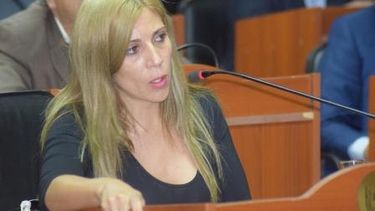 La Cámara baja rechazó el pedido por el bono de $ 5.000