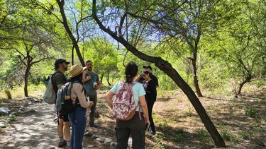 Turistas. El 65% eligió visitar la ciudad por primera vez, en tanto que el 35% repitió la experiencia.