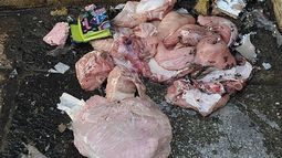 Hicieron detonar una cartera sospechosa, pero tenía pollo crudo