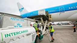 El Gobierno denunció a APA e Intercargo por extorsión, privación ilegal de la libertad y entorpecimiento de servicios públicos