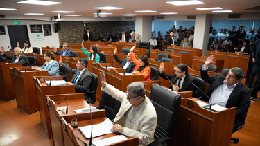 Senadores destacaron la importancia de avanzar en políticas educativas y de reconocimiento social durante la sesión.