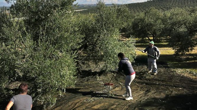 Advierten que es muy grave la crisis de las economías regionales