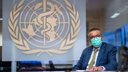 La OMS le pidió a Argentina que reconsidere su salida durante el aumento de casos de hantavirus La OMS le pidió a Argentina que reconsidere su salida durante el aumento de casos de hantavirus
