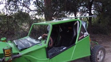 Iba como acompañante en un arenero y murió tras chocar un árbol