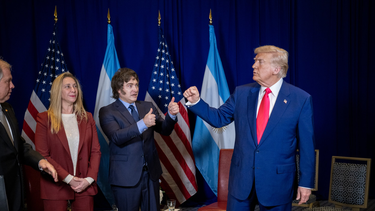 javier milei confirmo que la argentina integrara el consejo de paz creado por donald trump