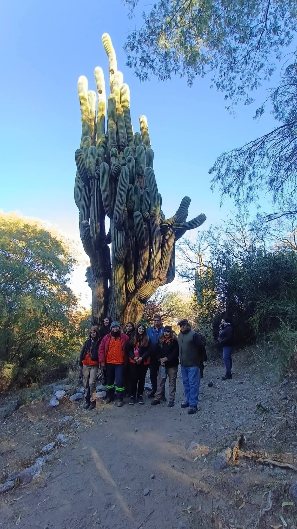 El mas alto. Se encuentra en San Jose