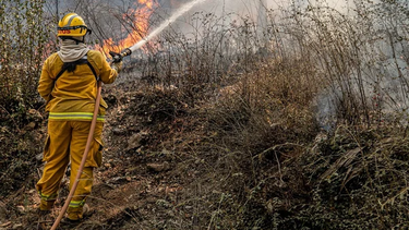 cordoba: el fuego ya consumio unas 3.500 hectareas en el cerro champaqui