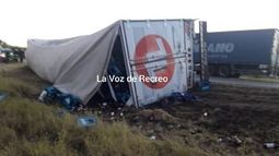 Camionero murió en el acto tras un vuelco en la ruta 157