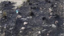 Sofocaron un incendio de pastizales en Ancasti