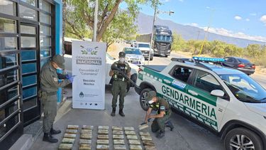 tres mujeres trasladaban mas de 65 kilos de marihuana en un colectivo