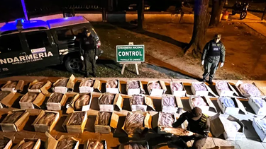 detectaron una tonelada de pescado oculto entre verduras
