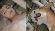 Un niño y su perro sobrevivieron 14 días bajo los escombros tras el terremoto en Venezuela