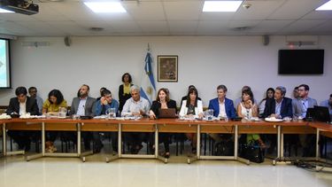 Comisión. Marcelo Murúa (izquierda) fue uno de los expositores en la última reunión en el Congreso.
