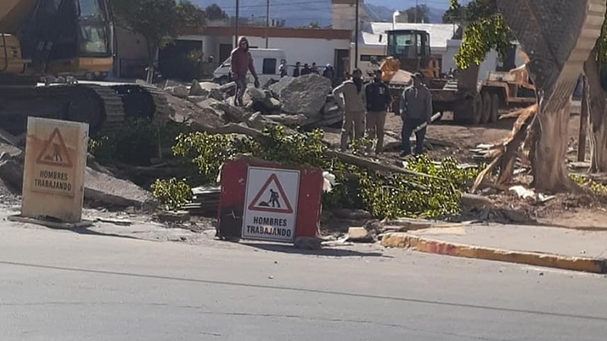 Malestar por la tala de árboles indiscriminada en la plaza de San Isidro