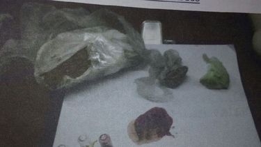 Secuestraron droga en la Terminal de Ómnibus