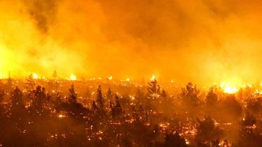 Incendios forestales en Chile.&nbsp;