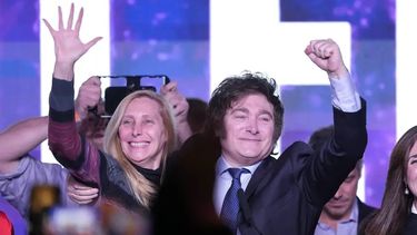 Fenómeno. Con alrededor de 7 millones de votos, Javier Milei fue el precandidato presidencial más votado.