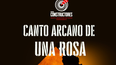 canto arcano de una rosa llega al teatro del sur con una puesta intima y poetica canto arcano de una rosa llega al teatro del sur con una puesta intima y poetica