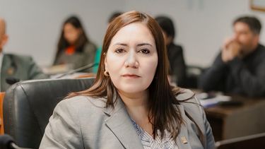 raul jalil quiere que el poder legislativo sea una escribania