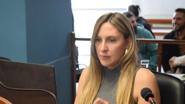 Impugnaciones. Hasta ahora entraron dos impugnaciones contra la diputada reelecta Natalia Saseta.