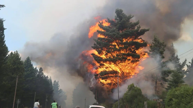 se refuerzan los operativos para combatir incendios en epuyen, atilio viglione y el pedregoso
