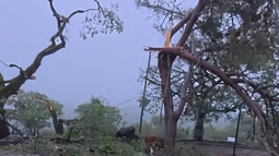 Fuerte tormenta causó destrozos en Ancasti Fuerte tormenta causó destrozos en Ancasti