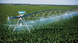 Alivio para productores agrícolas Alivio para productores agrícolas