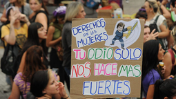 El gobierno bajo la lupa de la CIDH