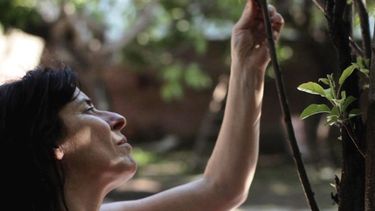 Estrena la película “El Grillo”, protagonizada por María Pessacq