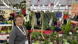 Adriana Tapia dice presente en la Fiesta del Poncho con sus suculentas y cactus