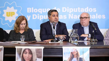 familiares de los detenidos por arrojar excremento a la casa de jose luis espert pidieron por su excarcelacion