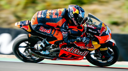 Moto 3: gran clasificación para los argentinos Perrone y Morelli