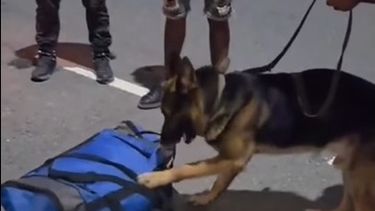 Paquetes. El perro adiestrado Nerón fue clave para el secuestro.
