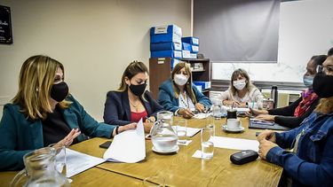 Reunión de la comisión de Salud de la Cámara de Diputados.