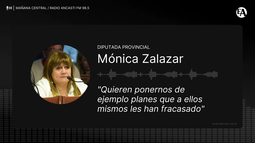 Quieren ponernos de ejemplo planes que a ellos mismos les han fracasado