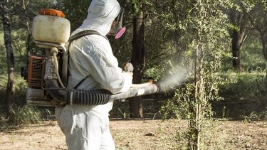 El SENASA hizo aplicaciones en tierra para el control de langostas
