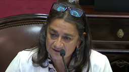 Lucía Corpacci: Este proyecto de ley deja al trabajador totalmente desprotegido Lucía Corpacci: Este proyecto de ley deja al trabajador totalmente desprotegido