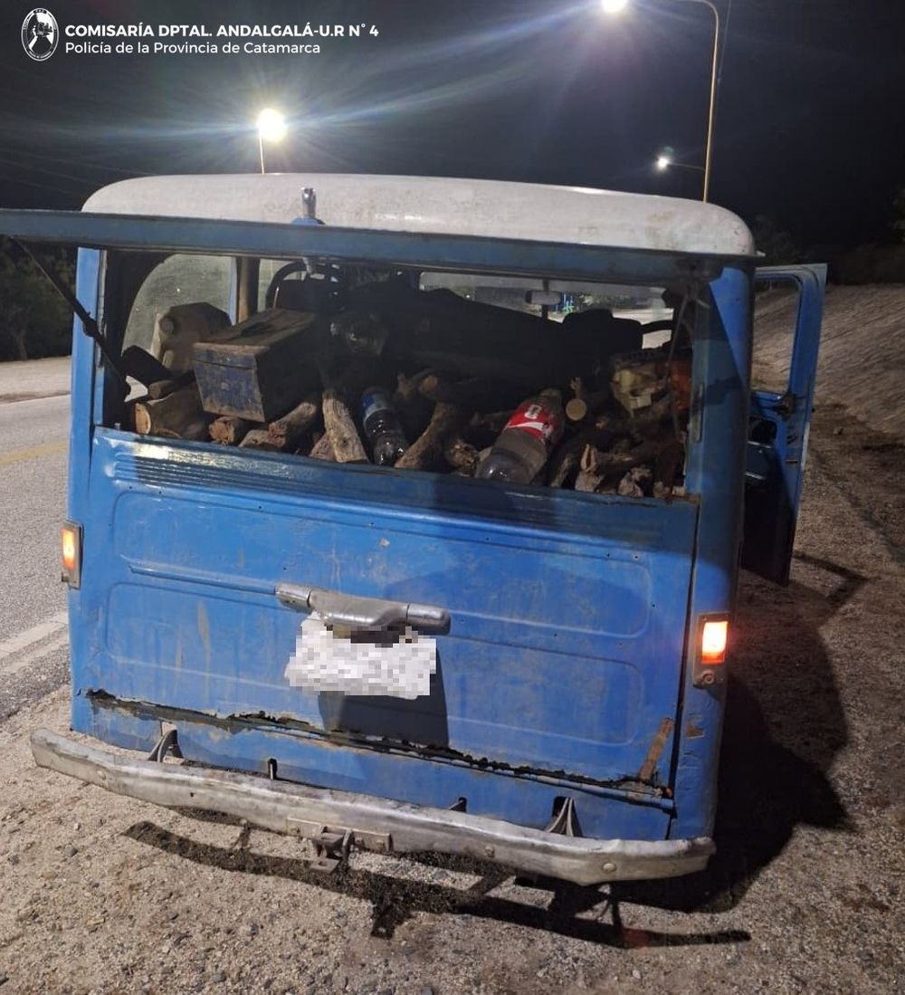 Secuestraron unos 700 kilos de leña