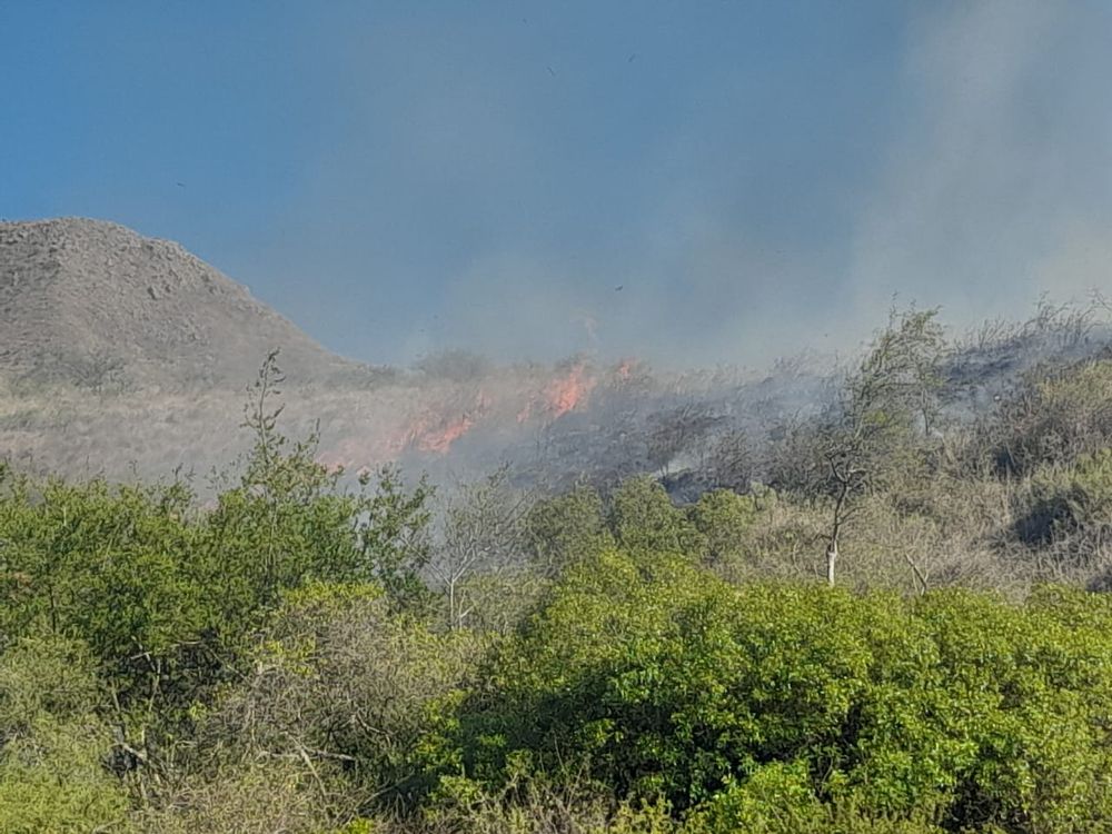 Incendio en inmediaciones de la ruta provincial 4.&nbsp;