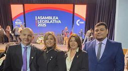 Pañuelo celeste. Los diputados de La Libertad Avanza, en sintonía con el planteo de Francisco Monti.