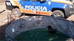 Organizaban riñas de gallos en Santa Rosa
