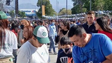 Alivio al bolsillo. Cada bolsa entregada otorga saldo para la SUBE.