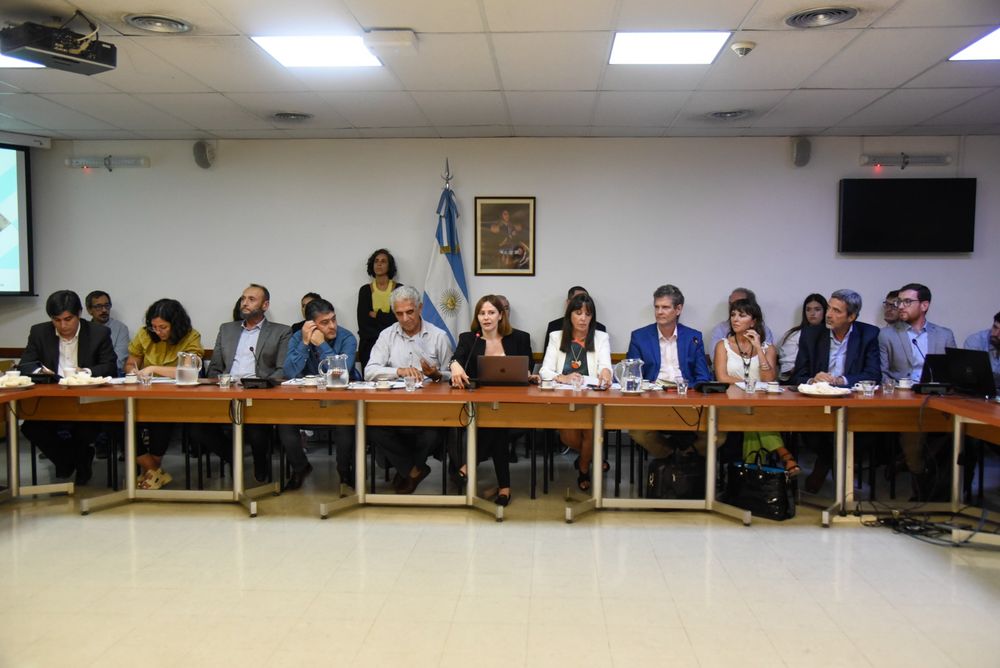 Comisión. Marcelo Murúa (izquierda) fue uno de los expositores en la última reunión en el Congreso.