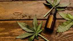 Cannabis medicinal: Es controversial y la provincia se debe una discusión