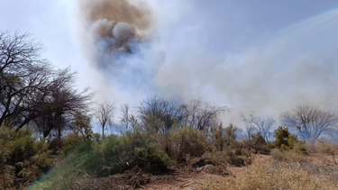 un importante incendio en tinogasta afecta el servicio electrico
