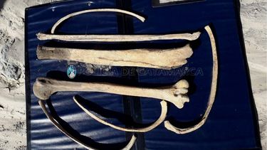 Encontraron restos óseos en Santa María
